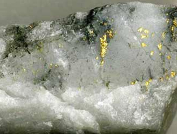 Mineral de oro en vetas de cuarzo